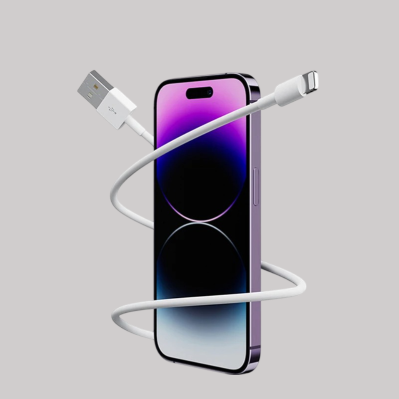 iPhone lightning laidas (1m)